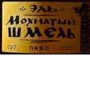 Samolepka
