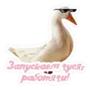 Стикер