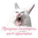 Стикер