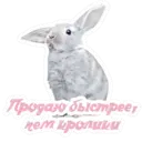 Стикер