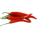 Samolepka