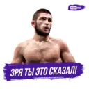Stika
