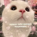 สติกเกอร์