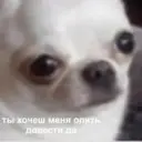 Стикер