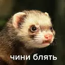 Стикер