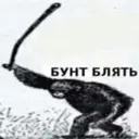Стикер