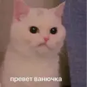 Стикер