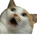 贴纸