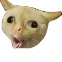 贴纸