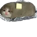贴纸