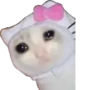 贴纸