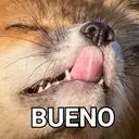 Stika