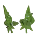 اسٹیکر