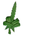 اسٹیکر