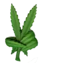 اسٹیکر