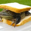 Naklejka
