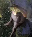 Naklejka