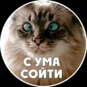 Стикер