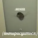 สติกเกอร์