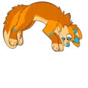 Nhãn dán
