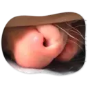 Límmiði