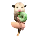 Límmiði