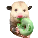 Límmiði