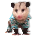 Límmiði