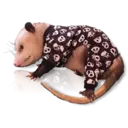 Límmiði