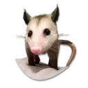 Límmiði