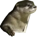 Ngjitës