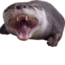Ngjitës