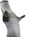 Ngjitës