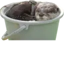 Ngjitës