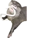 Ngjitës