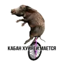 Stiker