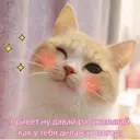 Стикер