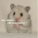 Naljepnica