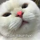 Naljepnica