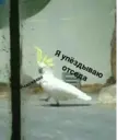 Naljepnica
