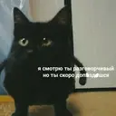 Naljepnica