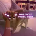 Стикер