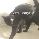 اسٹیکر