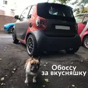 Կպչուն պիտակ