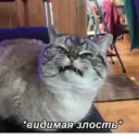 Çıkartma