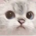 Çıkartma