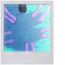 ملصق