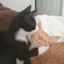 สติกเกอร์