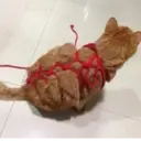 สติกเกอร์