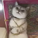 สติกเกอร์